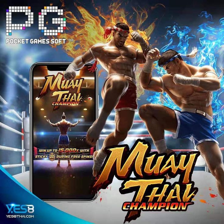 Muay Thai Champion