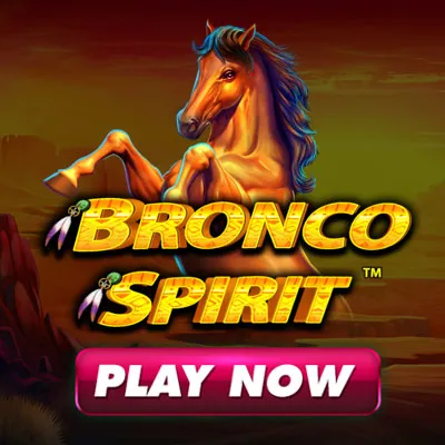 Bronco Spirit